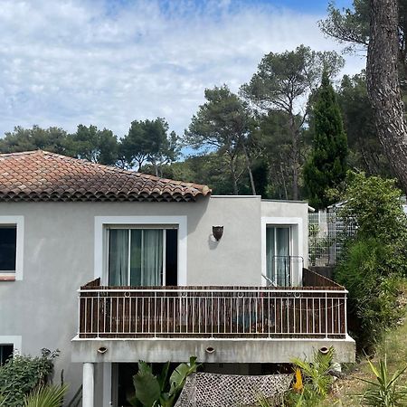 Appartement Proche Des Plages Carqueiranne Extérieur photo